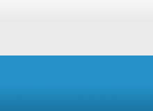 Primary Raster logo